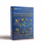 Microsoft Project Professional 2024