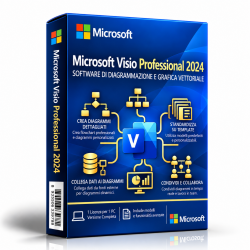 Microsoft Visio Professional 2024